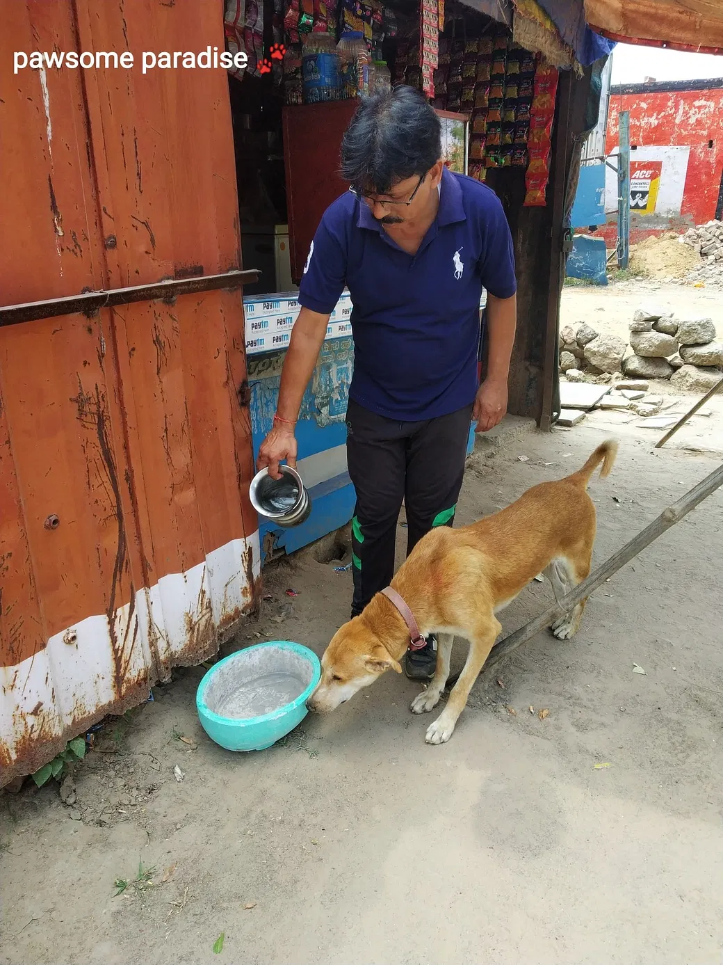 This Summer, Donate a Dog Bowl To Keep A Stray Hydrated | DonateKart This Summer, Donate a Dog Bowl To Keep A Stray Hydrated | DonateKart