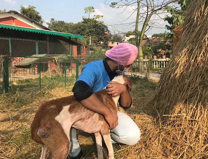 The Animals Of Raahat, Dehradun Need Your Help | DonateKart