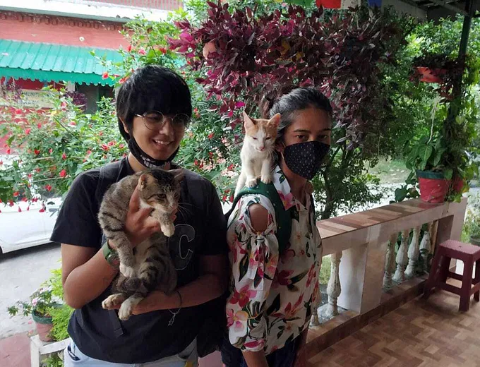 The Animals Of Raahat, Dehradun Need Your Help | DonateKart