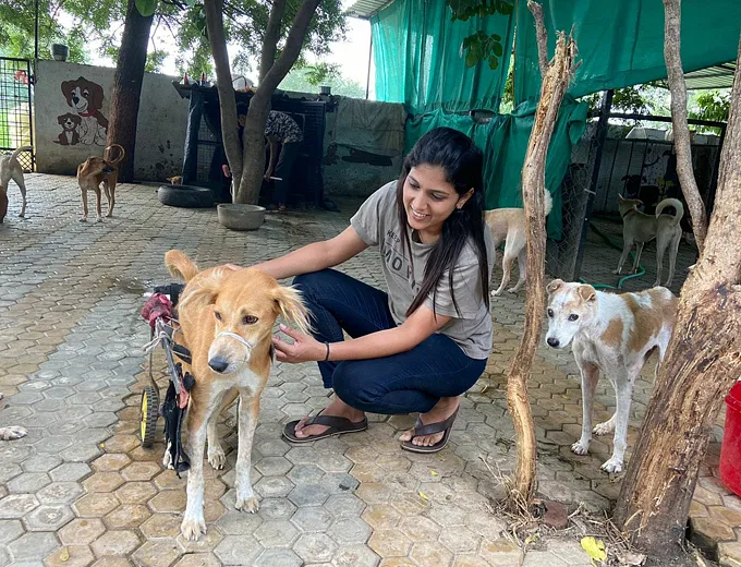With Your Support, Smita Will Be Able To Afford Food And Medicines For  Hundreds Of Dogs In Her Shelter | DonateKart