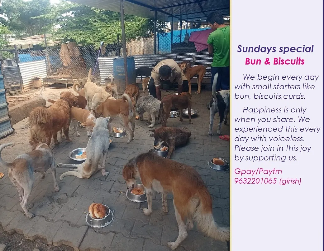 Please contribute to GIRISH's Dog Shelter – Fur Babies need your helping  hands | DonateKart
