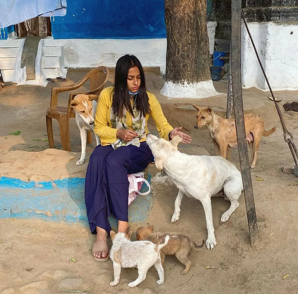 Tripti Needs Your Support To Feed Hundreds Of Hungry Strays In Raipur,  Donate Now | DonateKart