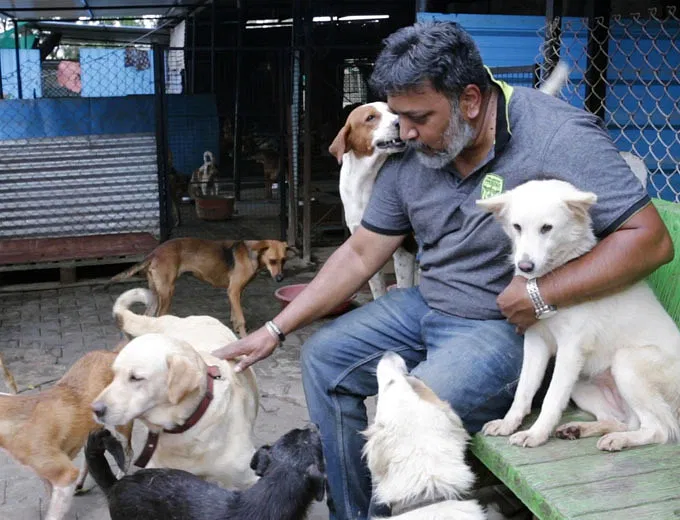 Join Hands With Girish And Help Him Build A Shelter For 350+ Stray Dogs | DonateKart Join Hands With Girish And Help Him Build A Shelter For 350+ Stray Dogs | DonateKart