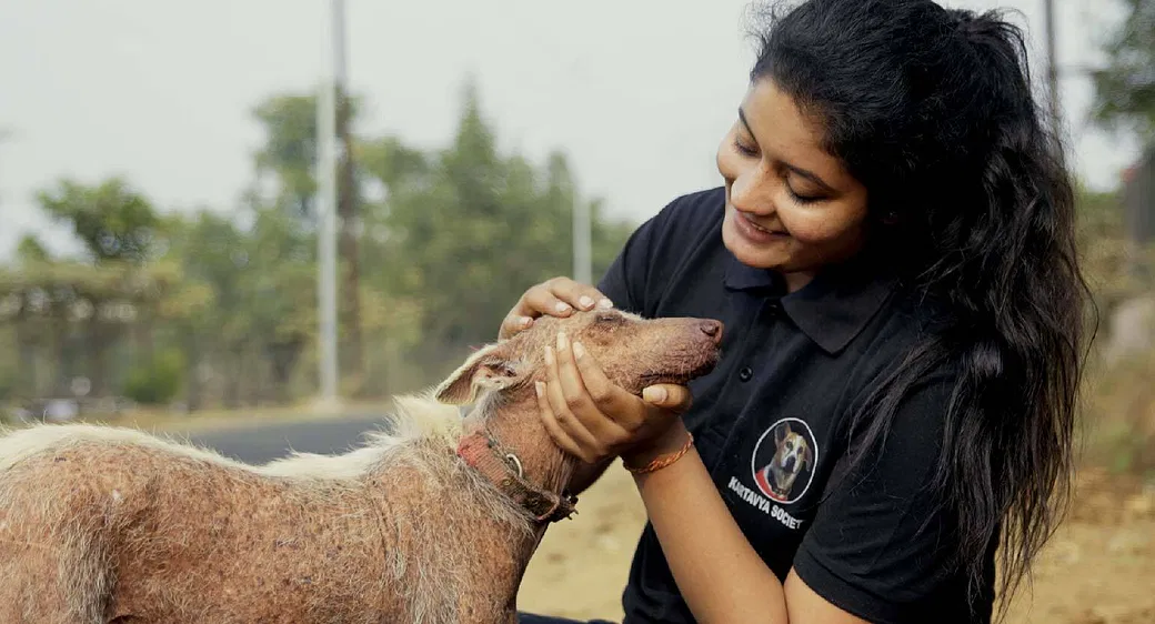 Riddhi And Akash Want To Give 600+ Strays In Bhopal A Safe Home, You Can Help Them | DonateKart Riddhi And Akash Want To Give 600+ Strays In Bhopal A Safe Home, You Can Help Them | DonateKart