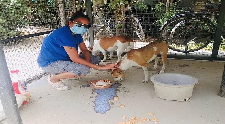 Friendicoes Is Saving Helpless Animals From Going Hungry During This Crisis, You Can Help | DonateKart Friendicoes Is Saving Helpless Animals From Going Hungry During This Crisis, You Can Help | DonateKart