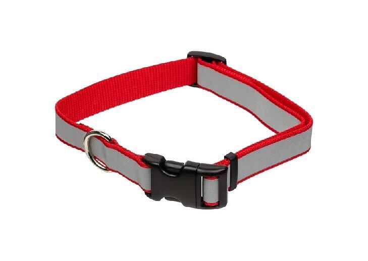 radium dog belt