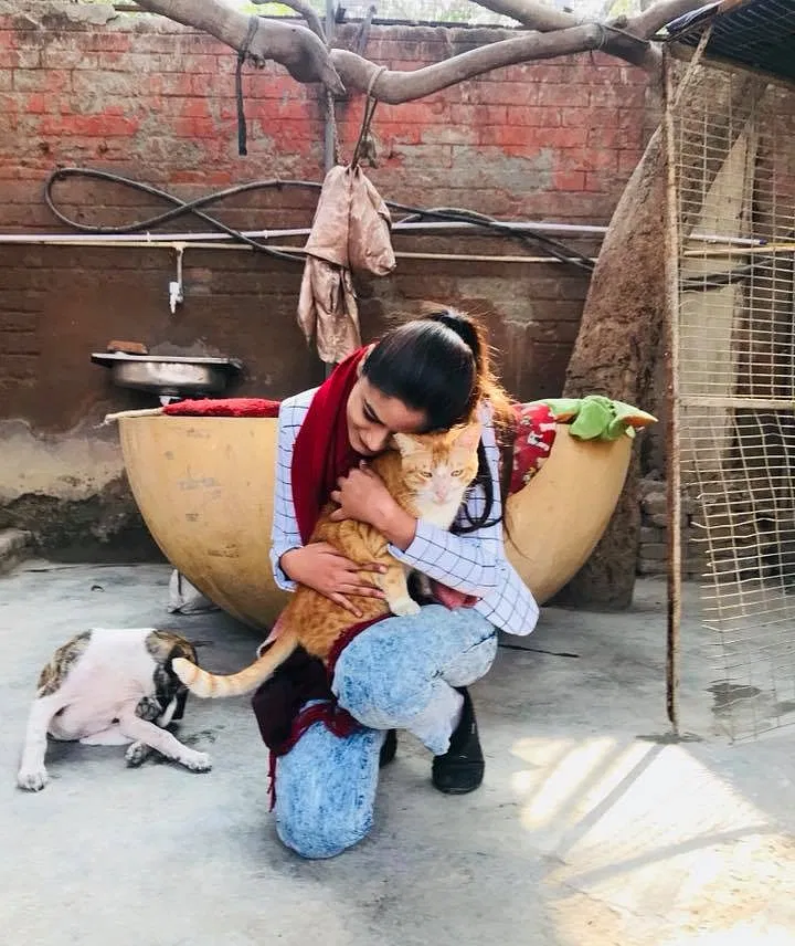 Help Sanjay Gandhi Animal Care Centre (SGACC) | DonateKart Help Sanjay Gandhi Animal Care Centre (SGACC) | DonateKart